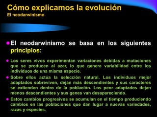 El origen de la vida y el origen del ser humano | PDF