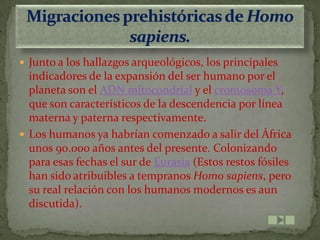  Junto a los hallazgos arqueológicos, los principales
  indicadores de la expansión del ser humano por el
  planeta son el ADN mitocondrial y el cromosoma Y,
  que son característicos de la descendencia por línea
  materna y paterna respectivamente.
 Los humanos ya habrían comenzado a salir del África
  unos 90.000 años antes del presente. Colonizando
  para esas fechas el sur de Eurasia (Estos restos fósiles
  han sido atribuibles a tempranos Homo sapiens, pero
  su real relación con los humanos modernos es aun
  discutida).
 