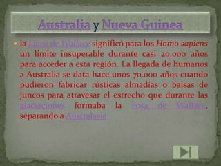  la Línea de Wallace significó para los Homo sapiens
 un límite insuperable durante casi 20.000 años
 para acceder a esta región. La llegada de humanos
 a Australia se data hace unos 70.000 años cuando
 pudieron fabricar rústicas almadías o balsas de
 juncos para atravesar el estrecho que durante las
 glaciaciones formaba la Fosa de Wallace,
 separando a Australasia.
 