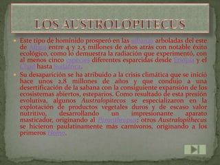  Este tipo de homínido prosperó en las sabanas arboladas del este
  de África entre 4 y 2,5 millones de años atrás con notable éxito
  ecológico, como lo demuestra la radiación que experimentó, con
  al menos cinco especies diferentes esparcidas desde Etiopía y el
  Chad hasta Sudáfrica.
 Su desaparición se ha atribuido a la crisis climática que se inició
  hace unos 2,8 millones de años y que condujo a una
  desertificación de la sabana con la consiguiente expansión de los
  ecosistemas abiertos, esteparios. Como resultado de esta presión
  evolutiva, algunos Australopitecos se especializaron en la
  explotación de productos vegetales duros y de escaso valor
  nutritivo,    desarrollando     un     impresionante       aparato
  masticador, originando al Paranthropus; otros Australopithecus
  se hicieron paulatinamente más carnívoros, originando a los
  primeros Homo.
 