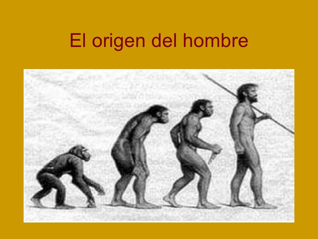 El origen del hombre para 1º El origen del hombre para 1º