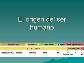 El origen del ser
    humano
 