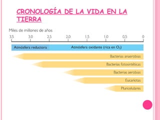 CRONOLOGÍA DE LA VIDA EN LA TIERRA 