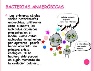 BACTERIAS ANAERÓBICAS Las primeras células serían heterótrofas anaerobias, utilizarían como alimento las moléculas orgánicas presentes en el medio. Como estas moléculas terminarían por agotarse, podría haber ocurrido una primera crisis ecológica, si no hubiera sido porque en algún momento de la evolución celular...  