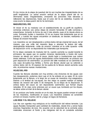 En los inicios de la etapa de juventud del río son muchas las irregularidades de su
perfil longitudinal. La activa erosión vertical de la etapa juvenil del río va
eliminando estas irregularidades, arrasando las porciones más elevadas y
rellenando las depresiones, hasta que el curso del río se estabiliza. Cuando tal
cosa ocurre la etapa juvenil del río ha terminado.
MADUREZ DEL RÍO
Al iniciar el río su madurez con el establecimiento de su perfil de equilibrio,
comienza entonces una activa etapa de erosión horizontal. El valle comienza a
ensancharse, tomando la forma de una V más abierta, pues el río desvía ahora su
curso, formando bucles o meandros. El río se mueve más lentamente que en su
juventud, y cuando las aguas encuentran un obstáculo, se desvían, realizando un
trabajo de erosión horizontal.
Los meandros se van desplazando a ambos lados del eje original del cauce, de tal
manera, que una orilla del meandro llega a alcanzar la ladera del valle,
destruyéndola lentamente –orilla de erosión- mientras en la orilla opuesta –orilla
de deposición- el río va depositando los materiales que transporta.
En la etapa avanzada de madurez del río, cuando aumenta su caudal durante la
primavera, las aguas que no pueden moverse rápidamente a través del curso
sinuoso se elevan por sobre el cauce, dando lugar a inundaciones que cubren
áreas extensas. Como las aguas desbordadas corren lentamente, se produce una
gran deposición de sedimentos. La porción del valle inundada se va cubriendo de
una capa de suelos muy fértiles, y forma una llanura aluvial que se extiende a
ambos lados del río. El espesor de los suelos de la llanura aluvial aumenta cada
año, al producirse nuevas inundaciones.
VEJEZ DEL RÍO
Cuando las llanuras aluviales son muy anchas y las divisorias de las aguas casi
han desaparecido, podemos decir que el río ha entrado en su vejez. El río corre
lentamente por la llanura, a lo largo de un cause de meandros muy exagerados.
Debido a la lentitud de sus aguas, los ríos viejos no pueden realizar un trabajo
intenso de erosión del suelo ni de transporte. Es la etapa de la deposición. A
ambos lados del cauce se van depositando sedimentos que forman diques
naturales. El río viejo corre entonces por un cauce que, bordeado por los diques,
se eleva sobre el nivel de la llanura aluvial.
Si se produce una fuerte crecida en un río viejo, las aguas pueden romper el cuello
de los meandros, rectificando el cauce. Los meandros aislados se convierten
primero en brazos muertos del río y luego en lagos de herradura.
LOS RÍOS Y EL RELIEVE
Los ríos son agentes muy enérgicos en la modificación del relieve terrestre. Las
aguas fluviales transportan gran cantidad de materiales, desde limo y arena hasta
enormes fragmentos de roca. De acuerdo con la velocidad de la corriente estos
materiales erosionan el fondo y las márgenes del río en constante actividad
 