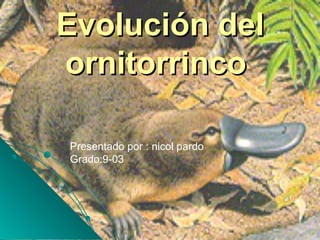 Evolución delEvolución del
ornitorrincoornitorrinco
Presentado por : nicol pardo
Grado:9-03
 
