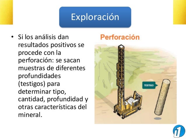 La profiláctica de las lombrices a los gatos