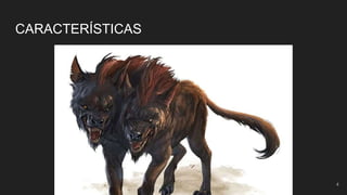 4
CARACTERÍSTICAS
 