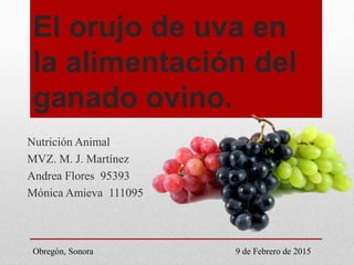 El orujo de uva en
la alimentación del
ganado ovino.
Nutrición Animal
MVZ. M. J. Martínez
Andrea Flores 95393
Mónica Amieva 111095
Obregón, Sonora 9 de Febrero de 2015
 