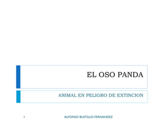 EL OSO PANDA ANIMAL EN PELIGRO DE EXTINCION ALFONSO BUSTILLO FERNANDEZ 
