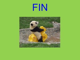 FIN 