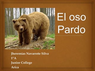 Jheremías Navarrete Silva
1°A
Junior College
Arica
 