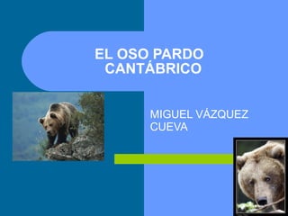 EL OSO PARDO   CANTÁBRICO MIGUEL VÁZQUEZ CUEVA 