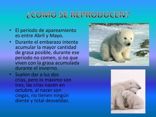 ¿COMO SE REPRODUCEN?El periodo de apareamiento es entre Abril y Mayo.Durante el embarazo intenta acumular la mayor cantidad de grasa posible, durante ese periodo no comen, si no que viven con la grasa acumulada durante el invierno.Suelen dar a luz dos crías, pero lo máximo son tres, las crías nacen en octubre, al nacer son ciegas, no tienen ningún diente y total desvalidas.