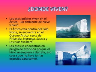 ¿DONDE VIVEN?Los osos polares viven en el Ártico, un ambiente de nieve y hielo.El Ártico esta dentro del Polo Norte, se encuentra en el Océano Ártico, cerca de Finlandia, Noruega, Suecia y Las Islas Svalbard.Los osos se encuentran en peligro de extinción porque el hielo se empieza a derretir, eso causa que no haya tantas especies para comer.