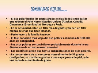 SABIAS QUE….- El oso polar habita las costas árticas e islas de los cinco países que rodean el Polo Norte: Estados Unidos (Alaska), Canadá, Dinamarca (Groenlandia), Noruega y Rusia. - En la actualidad están un 10% más delgados y tienen un 10% menos de crías que hace 20 años. - Pertenecen a la familia Ursinae. - El fósil conocido más viejo del oso polar es al menos de 150.000 años de antigüedad.- Los osos polares se convirtieron probablemente durante la era Pleistoceno de un oso marrón ancestral. - Los científicos creen que hay 15 subpoblaciones de osos polares.- La temperatura de su cuerpo es normalmente de 37 grados centígrados; se mantiene gracias a una capa gruesa de piel, y de una capa de aislamiento de grasa. 