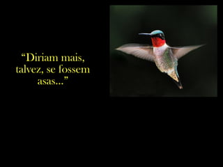 “Diriam mais,
talvez, se fossem
asas...”
 