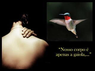 “Nosso corpo é
apenas a gaiola,...”
 