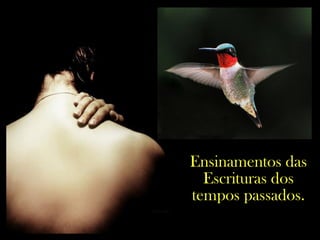 Ensinamentos das
Escrituras dos
tempos passados.
 