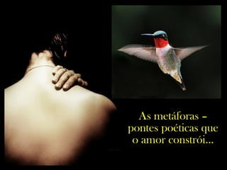 As metáforas –
pontes poéticas que
o amor constrói...
 