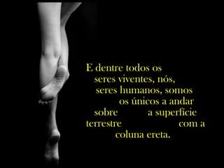 E dentre todos os
seres viventes, nós,
seres humanos, somos
os únicos a andar
sobre a superfície
terrestre com a
coluna ereta.
 