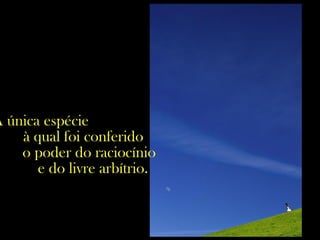 A única espécie
à qual foi conferido
o poder do raciocínio
e do livre arbítrio.
 