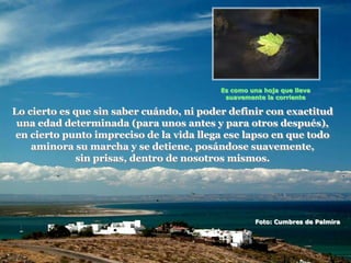 Es como una hoja que lleva
                                           suavemente la corriente

Lo cierto es que sin saber cuándo, ni poder definir con exactitud
 una edad determinada (para unos antes y para otros después),
 en cierto punto impreciso de la vida llega ese lapso en que todo
    aminora su marcha y se detiene, posándose suavemente,
             sin prisas, dentro de nosotros mismos.




                                                   Foto: Cumbres de Palmira
 