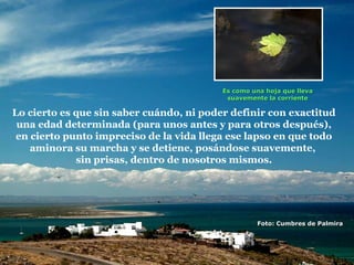 Es como una hoja que lleva
                                           suavemente la corriente

Lo cierto es que sin saber cuándo, ni poder definir con exactitud
 una edad determinada (para unos antes y para otros después),
 en cierto punto impreciso de la vida llega ese lapso en que todo
    aminora su marcha y se detiene, posándose suavemente,
             sin prisas, dentro de nosotros mismos.




                                                   Foto: Cumbres de Palmira
 