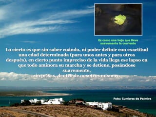Es como una hoja que lleva
                                           suavemente la corriente

Lo cierto es que sin saber cuándo, ni poder definir con exactitud
      una edad determinada (para unos antes y para otros
después), en cierto punto impreciso de la vida llega ese lapso en
      que todo aminora su marcha y se detiene, posándose
                           suavemente,
             sin prisas, dentro de nosotros mismos.




                                                   Foto: Cumbres de Palmira
 