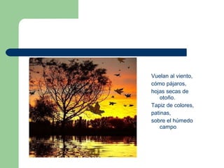 Vuelan al viento, cómo pájaros, hojas secas de otoño. Tapiz de colores, patinas, sobre el húmedo campo 