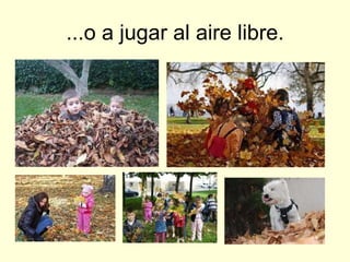...o a jugar al aire libre.