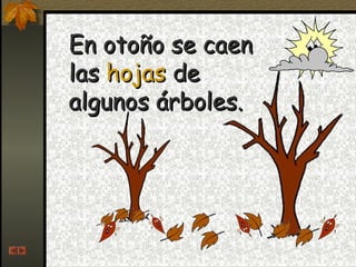 En otoño se caenEn otoño se caen
laslas hojashojas dede
algunos árboles.algunos árboles.
 