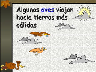 Algunas  aves  viajan hacia tierras más cálidas 