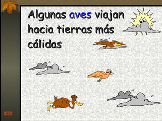 Algunas  aves  viajan hacia tierras más cálidas 