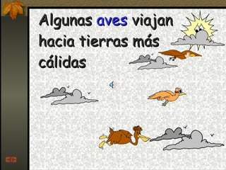 Algunas  aves  viajan hacia tierras más cálidas 