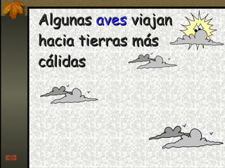 Algunas  aves  viajan hacia tierras más cálidas 