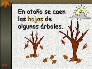 En otoño se caen las  hojas  de algunos árboles. 