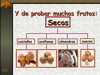 Y de probar muchos frutos: Secos castañas almendras avellanas nueces 