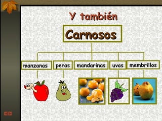 Y también Carnosos peras manzanas mandarinas uvas membrillos 