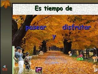 Es tiempo de  pasear y disfrutar 