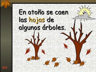 En otoño se caen las  hojas  de algunos árboles. 
