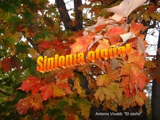 Sinfonía otoñal Antonio Vivaldi: &quot;El otoño&quot; 