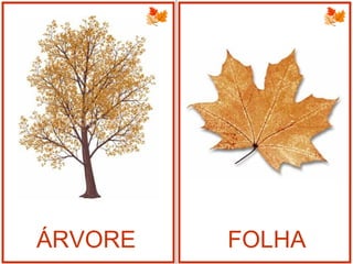 ÁRVORE FOLHA
