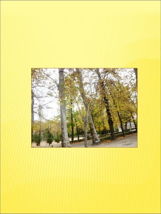 El otoño y Lorca. Títeres