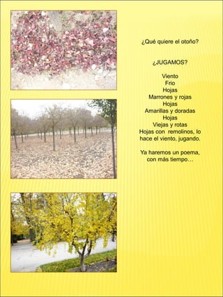 ¿Qué quiere el otoño?
¿JUGAMOS?
Viento
Frio
Hojas
Marrones y rojas
Hojas
Amarillas y doradas
Hojas
Viejas y rotas
Hojas con remolinos, lo
hace el viento, jugando.
Ya haremos un poema,
con más tiempo…
 
