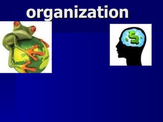 organization 