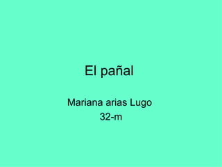 El pañal  Mariana arias Lugo  32-m 