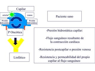 Paciente sano Capilar arteria l venoso Presión hidrostática Presión hidrostática Linfático P Oncótica -Presión hidrostática capilar: -Flujo sanguíneo resultante de la contracción cardíaca -Resistencia postcapilar o presión venosa -Resistencia y permeabilidad del propio capilar al flujo sanguíneo  