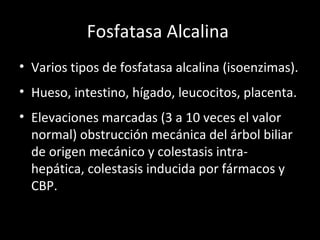 Fosfatasa Alcalina  Varios tipos de fosfatasa alcalina (isoenzimas). Hueso, intestino, hígado, leucocitos, placenta. Elevaciones marcadas (3 a 10 veces el valor normal) obstrucción mecánica del árbol biliar de origen mecánico y colestasis intra-hepática, colestasis inducida por fármacos y CBP. 