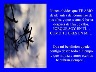 Nunca olvides que TE AMO desde antes del comienzo de tus días, y que te amaré hasta después del fin de ellos, PORQUE SOY EN TÍ… COMO TÚ ERES EN MÍ… Que mi bendición quede contigo desde todo el tiempo y que mi paz y amor eternos te cubran siempre…  